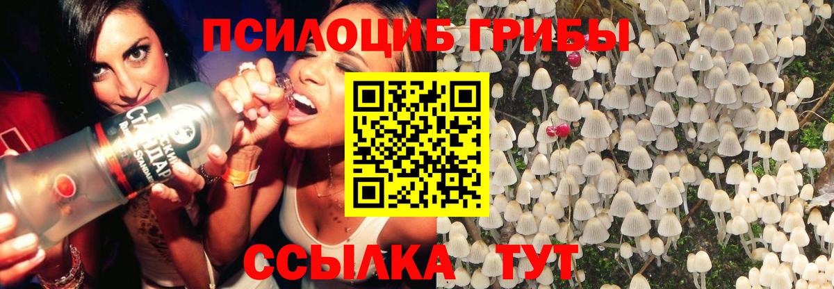 Галлюциногенные грибы Psilocybe  Галлюциногенные грибы Psilocybine cubensis  Вход с VPN  Медногорск 
