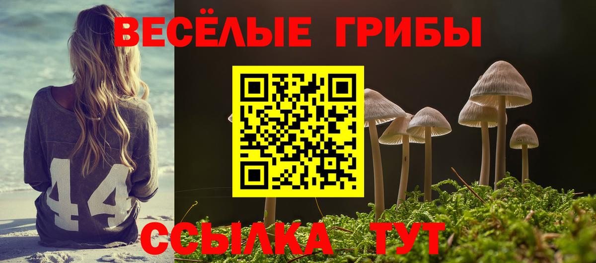 Псилоцибиновые грибы GOLDEN TEACHER Медногорск